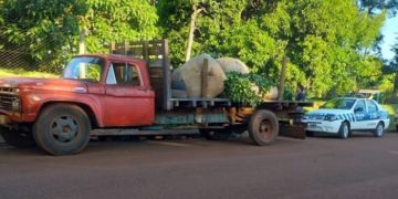Guaraní: la Policía interceptó un camión con 400 kg de yerba