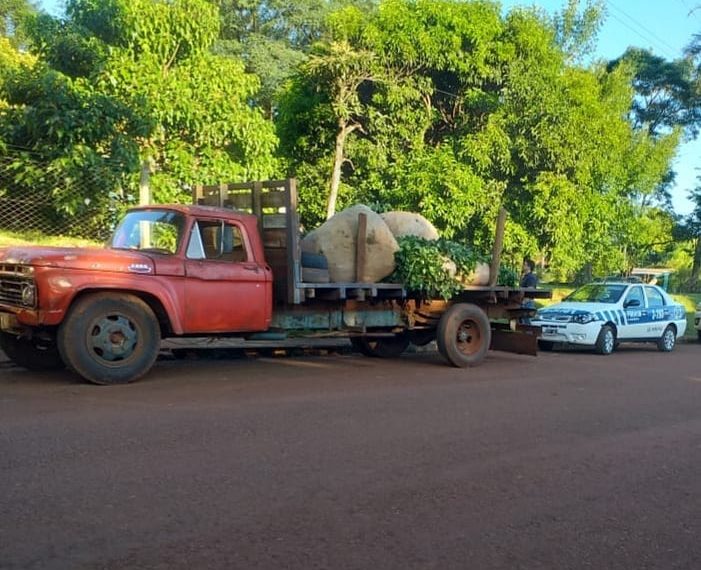 Guaraní: la Policía interceptó un camión con 400 kg de yerba