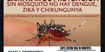 Dengue:  continúan las charlas sobre  eliminación de  criaderos  mosquito Aedes aegypti para prevenir  las  enfermedades  vectoriales