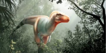 Hallaron en Canadá una especie desconocida y temible de dinosaurio carnívoro