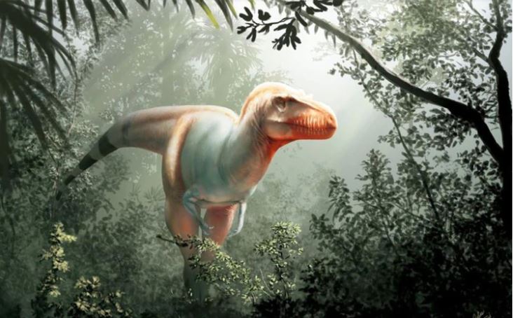 Hallaron en Canadá una especie desconocida y temible de dinosaurio carnívoro