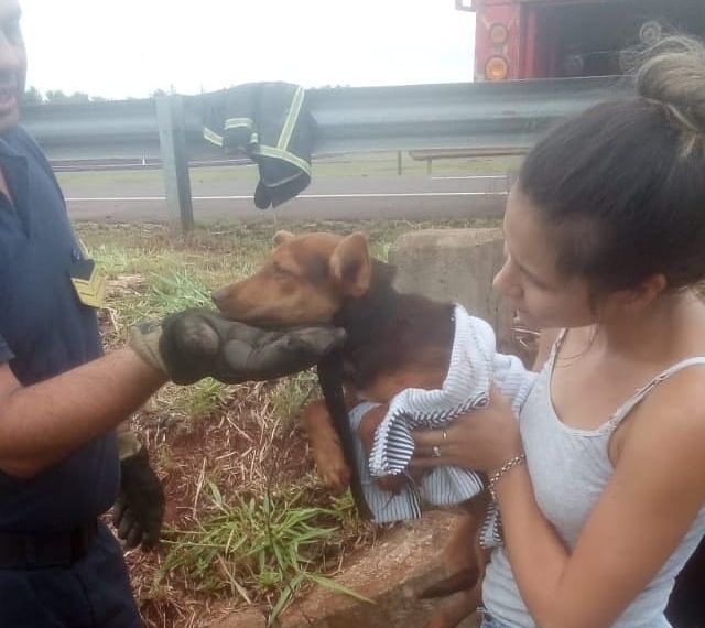 Garupá: policías rescataron a un cachorro que cayó a una alcantarilla