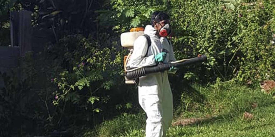 Oberá: Salud Pública continua con acciones de prevención del dengue en Barrio Krause, Caballeriza, Gunter y Bella Vista