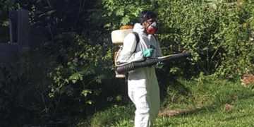 Oberá: Salud Pública continua con acciones de prevención del dengue en Barrio Krause, Caballeriza, Gunter y Bella Vista