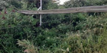 Fuerte temporal causó daños materiales en San Pedro