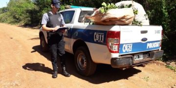 Eldorado: Policías detuvieron a un hombre cuando huía con yerba mate robada