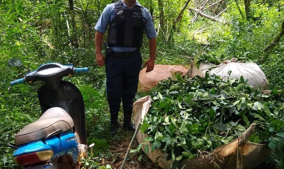 Dos Hermanas: la Policía recuperó 400 kilos de hoja de yerba robada en Paraje Tobuna