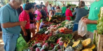 Ferias francas: nuevas medidas para la atención al público ante la emergencia sanitaria
