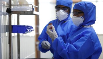 Aclaran que el turista alemán que llegó a Iguazú tiene dengue, no coronavirus