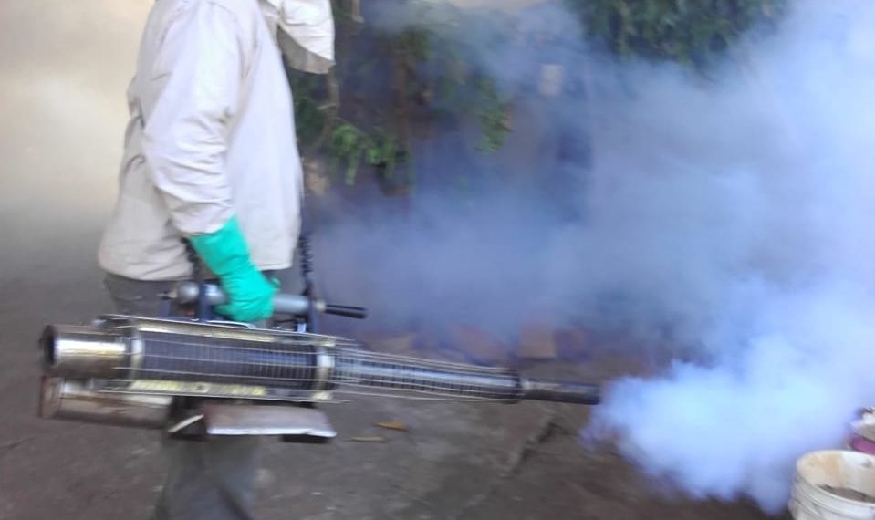 Dengue: durante el primer trimestre realizaron controles  en más de 60 mil hogares