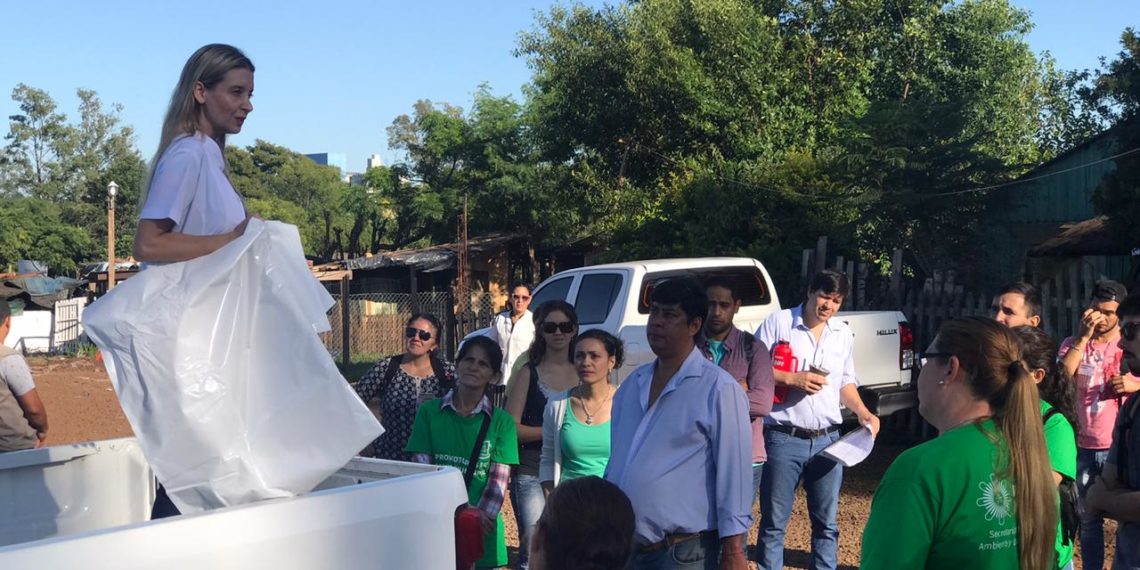 Derribando mitos: “La lavandina no mata las larvas de mosquitos del  dengue”