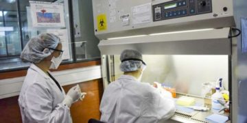 Se registraron 11 nuevos casos de coronavirus en el país y ya son 56 los infectados