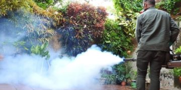 Lucha contra el dengue: refuerzan los operativos de prevención en Posadas