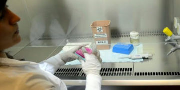 Los 19 laboratorios del país que harán testeo para diagnosticar coronavirus