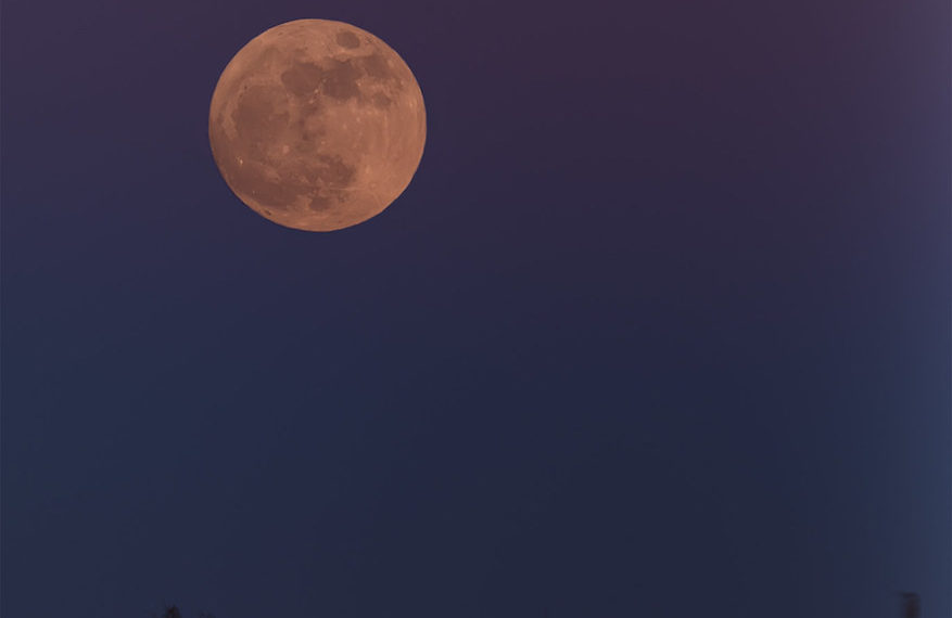 Hoy podrá apreciarse la primera superluna del año