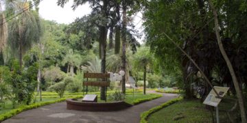 Buscan posicionar al Jardín Botánico  como puerta de entrada a la selva misionera