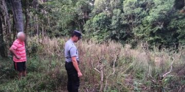 La Policía detuvo a dos hombres vinculados a un robo de yerba mate en Picada Belgrano