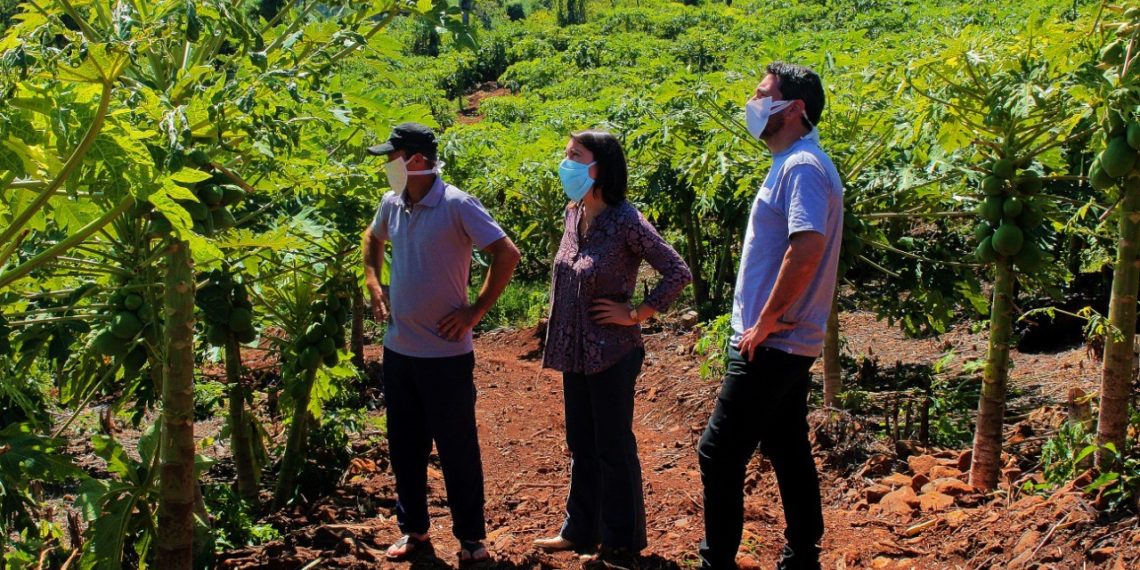 El Agro acompaña en territorio el desarrollo de la producción en el contexto de Covid-19