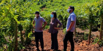 El Agro acompaña en territorio el desarrollo de la producción en el contexto de Covid-19