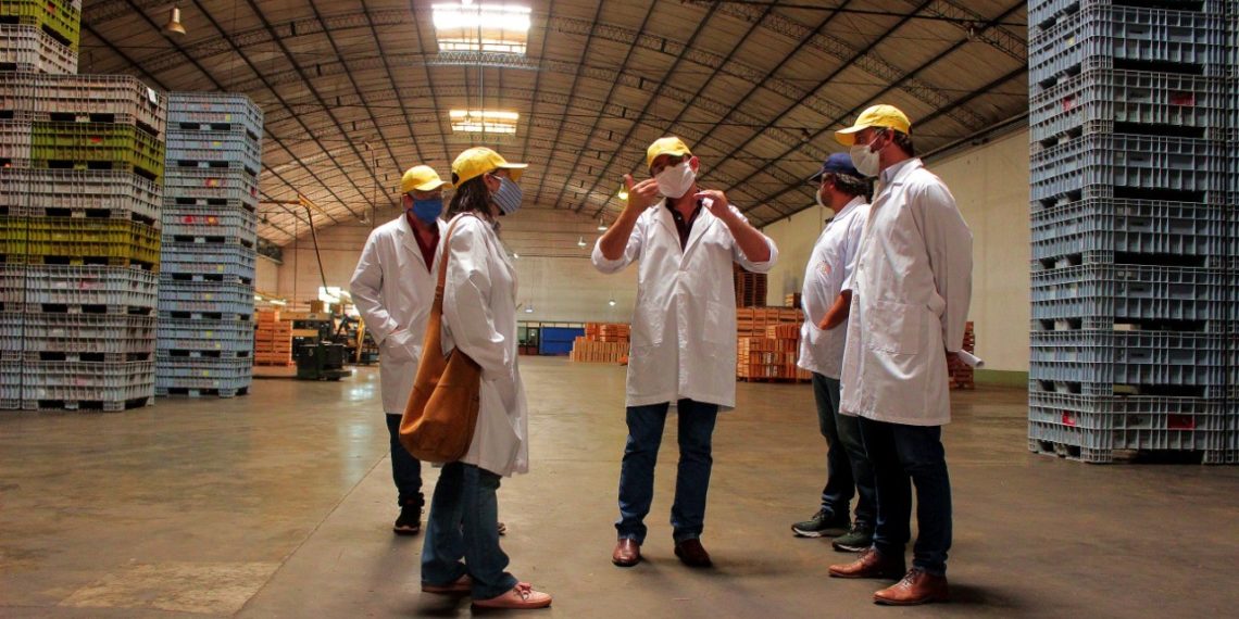 El Ministerio del Agro y la Cooperativa Citrícola planifican proyectos de diversificación