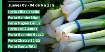 Serán siete las Ferias Francas que abrirán este jueves  en Posadas