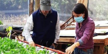 Está en marcha el Programa de Financiamiento Hortícola