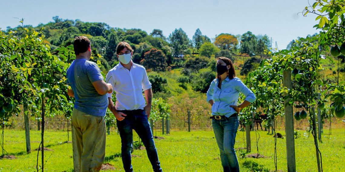 Producción sustentable y valor agregado en origen a frutas tropicales