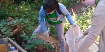 Tras la lluvia, se recomienda extremar la limpieza para controlar el dengue