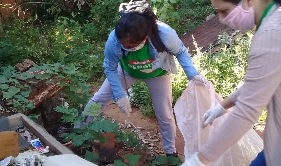 Tras la lluvia, se recomienda extremar la limpieza para controlar el dengue