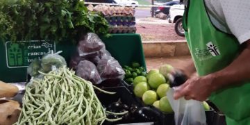 Más de 30 agentes municipales colaborarán en las Ferias Francas