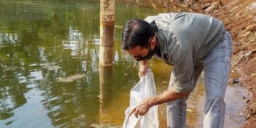 Buscan fortalecer la producción de peces a través de ciclos productivos más cortos y eficientes