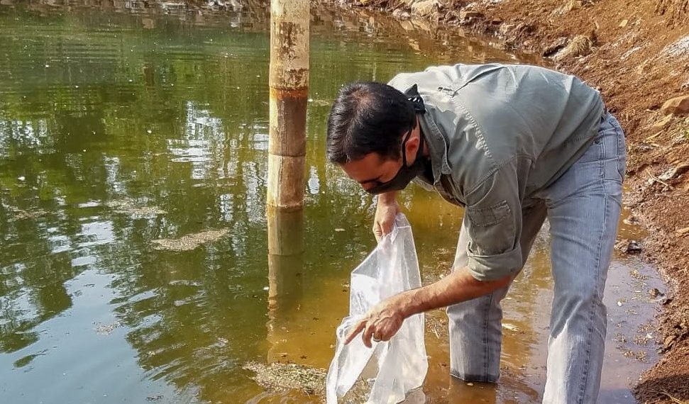 Buscan fortalecer la producción de peces a través de ciclos productivos más cortos y eficientes