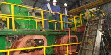Exitosa prueba piloto del Ingenio Azucarero con cultivos propios para la zafra 2020