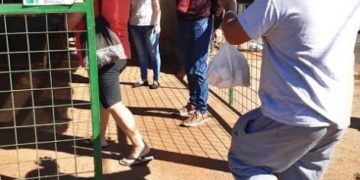 Ferias Francas: este fin de semana nueva jornada de comercialización, con rigurosas medidas sanitarias