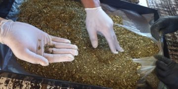 Intentaron ingresar droga en un paquete de yerba mate a la Unidad Penal de Miguel Lanús