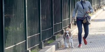 ¿Qué actividades continuarán restringidas durante la cuarentena?