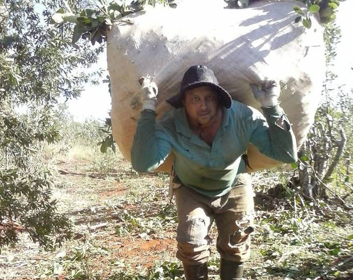 Piden que incluyan en el IFE a tareferos y a demás trabajadores eventuales o de temporada