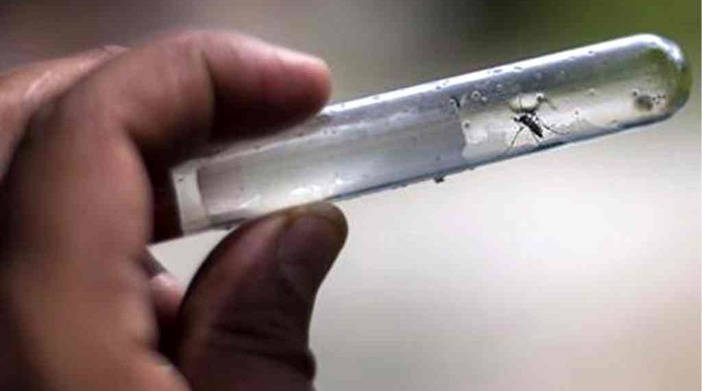 Dengue: se superó el mayor registro histórico de casos en el país