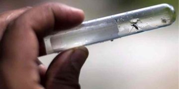 Dengue: se superó el mayor registro histórico de casos en el país