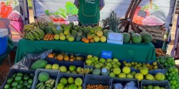 Más de 250 productores comercializaron en las Ferias Francas