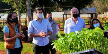 Con una entrega de plantines, se inició una nueva etapa del Programa Hortícola