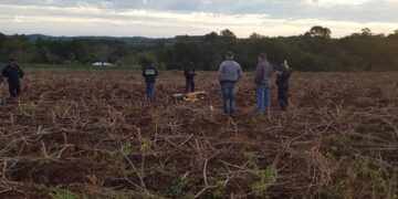 Murió junto a su perro alcanzado por un rayo cuando cosechaba mandioca