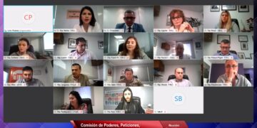 Realizaron por videoconferencia las primeras audiencias públicas del año en la Legislatura