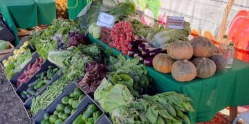 Más productores se sumaron a la comercialización en las Ferias Francas