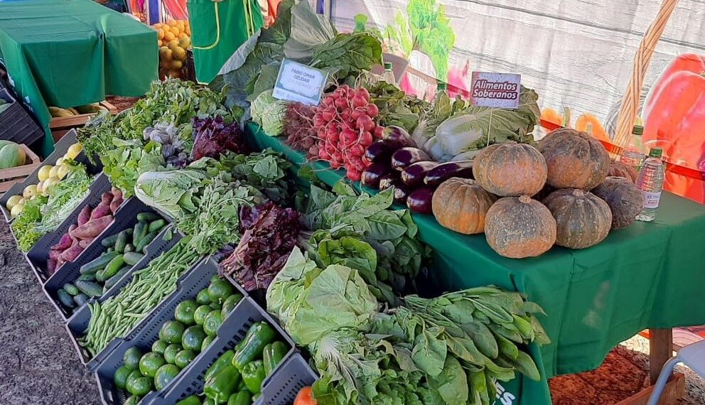 Más productores se sumaron a la comercialización en las Ferias Francas