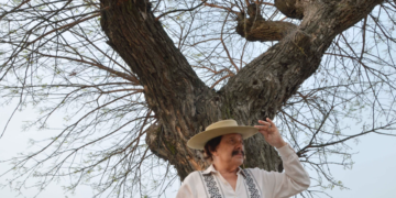 Por ley, el Gualambao es Patrimonio Cultural Provincial