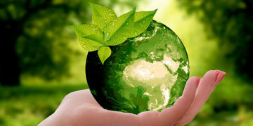 ¿Por qué se celebra hoy el Día Mundial del Medio Ambiente?