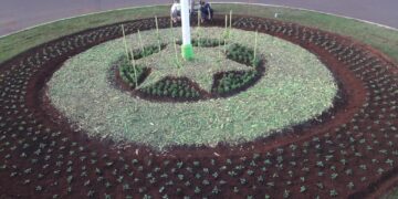 Embellecen espacios verdes con flores ornamentales