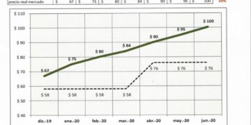 Preocupa a Molineros caída del consumo,crecimiento del endeudamiento e imposibilidad de trasladar aumentos
