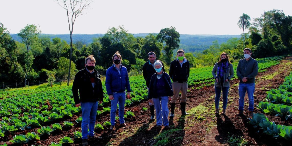 Buscan potenciar el perfil frutihortícola de Cerro Azul